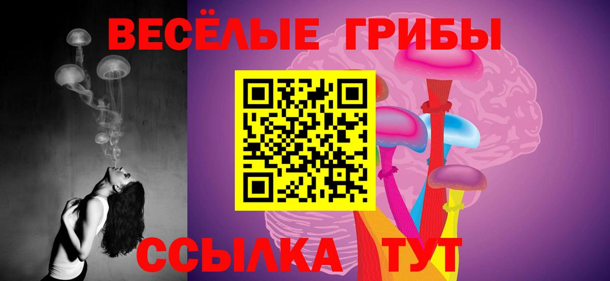 Псилоцибиновые грибы мицелий Назарово